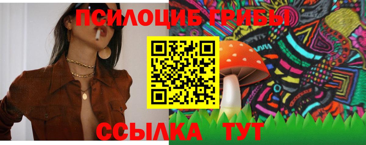 Фрязино  где продают   Вход с VPN  Псилоцибиновые грибы прущие грибы 